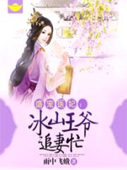 盛宠医妃:冰山王爷追妻忙