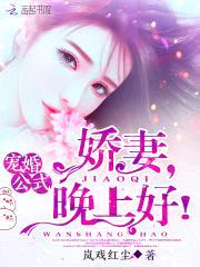 宠婚公式:娇妻,晚上好!