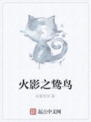 火影之鸷鸟