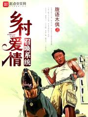 乡村爱情召唤系统