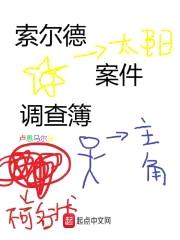 索尔德案件调查簿