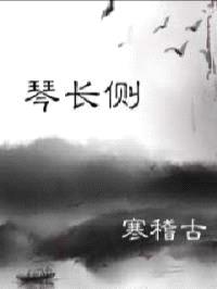 青山无弦之琴长侧