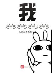 我,美漫里的歪门邪道