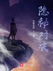隐秘对决