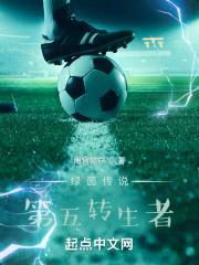 七世绿茵：第五转生者