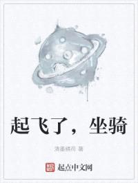 起飞了,坐骑