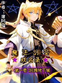 魔法剑圣成名录