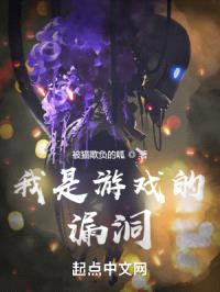 我是游戏的漏洞
